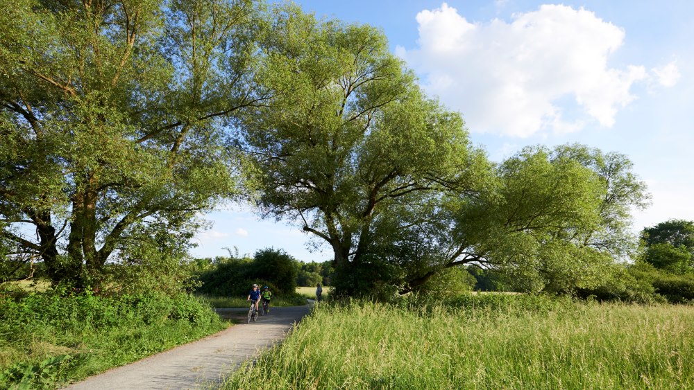schwanheimer wiese radfahrer stefan cop