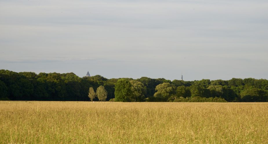 schwanheimer wiesen hochhausspitze stefan cop