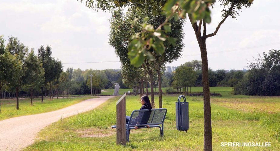 speierlingsallee hattersheim