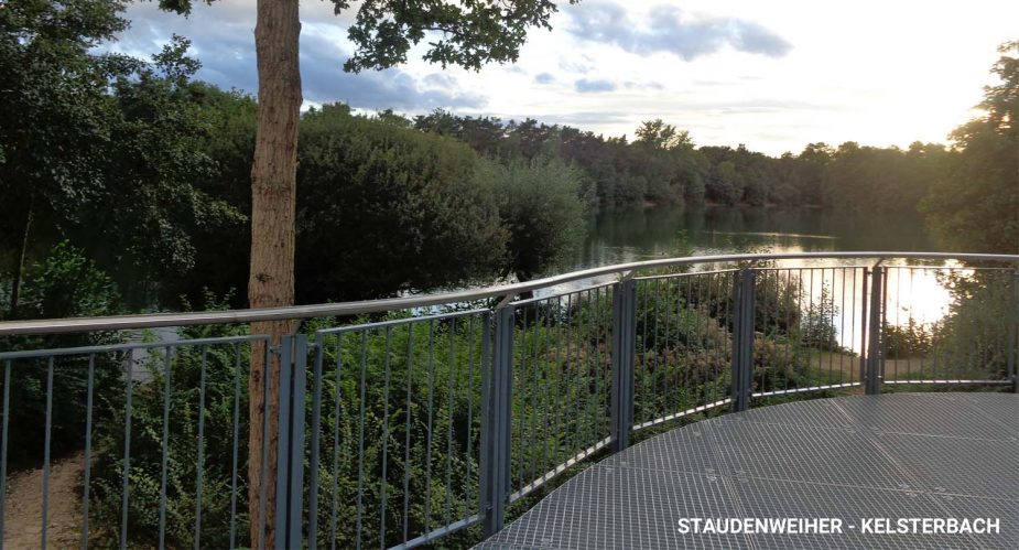 staudenweiher kelsterbach