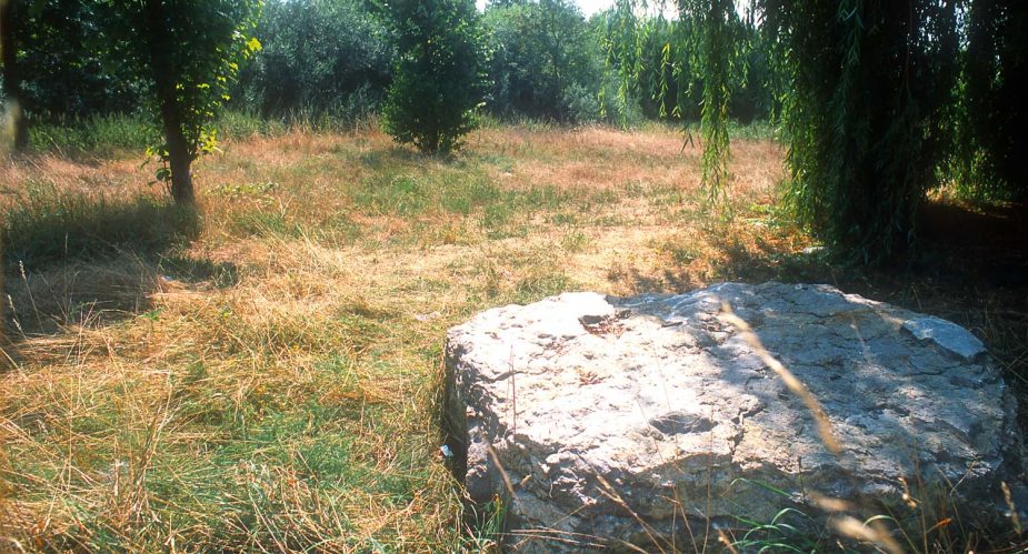 steinplatte bischofsheim