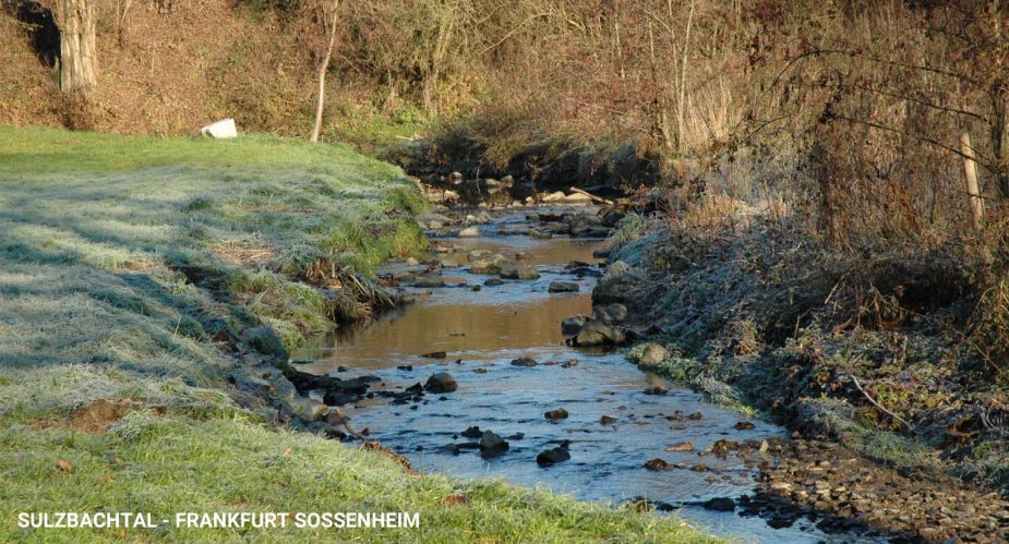 sulzbachtal