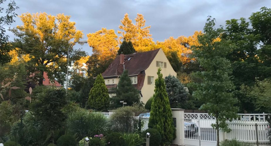 villenkolonie buchschlag