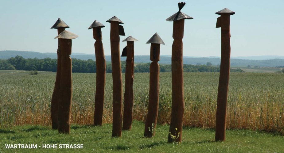 wartbaum-hohe-straße1