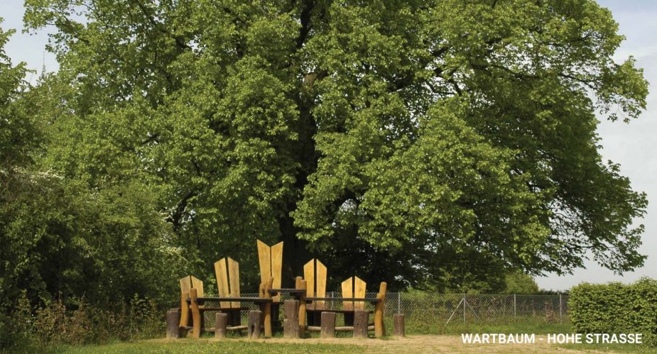 wartbaum-hohe-straße3