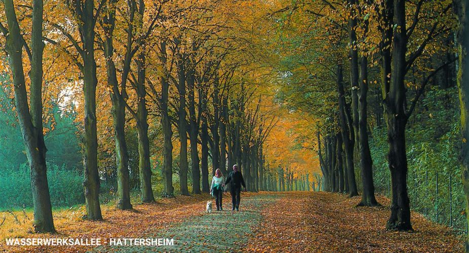 wasserwerksallee-hattersheim wasserwerksallee-hattersheim