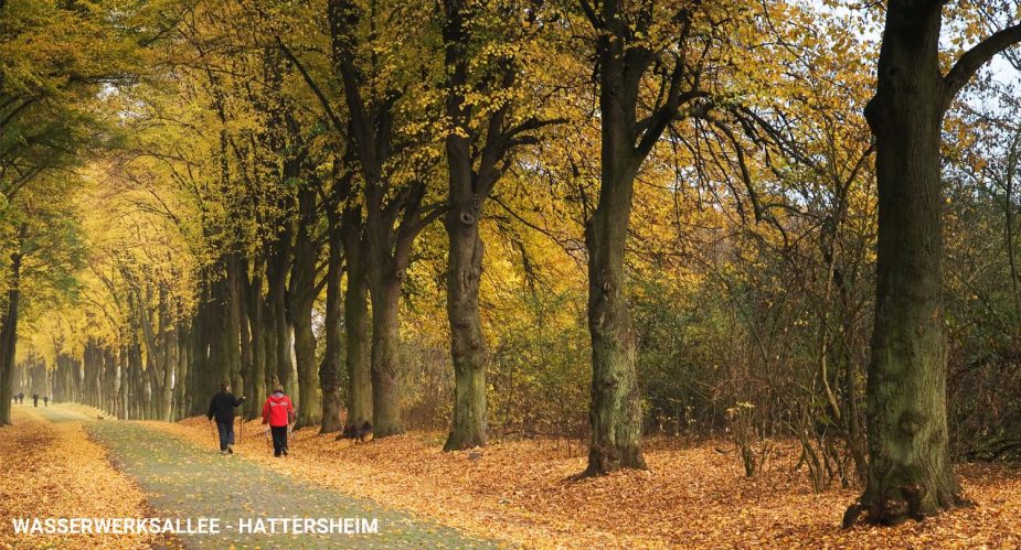 wasserwerksallee-hattersheim2 wasserwerksallee-hattersheim2