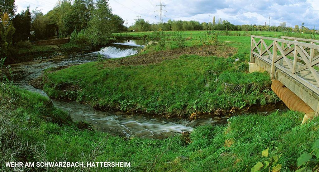 Wehr am Schwarzbach, Hattersheim