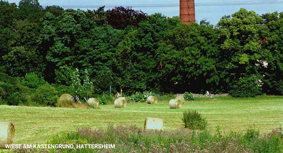 wiese am kastengrund-hattersheim