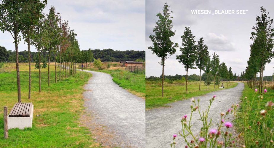 wiesen-blauer-see