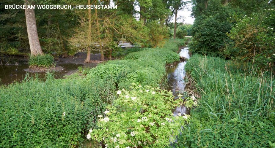 woogbruch-heusenstamm3 woogbruch heusenstamm