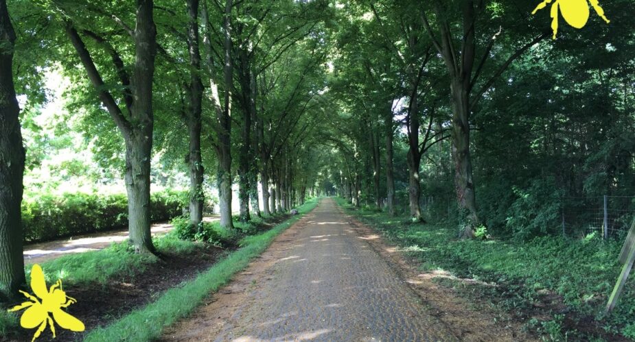 wasserwerksallee wasserwerksallee