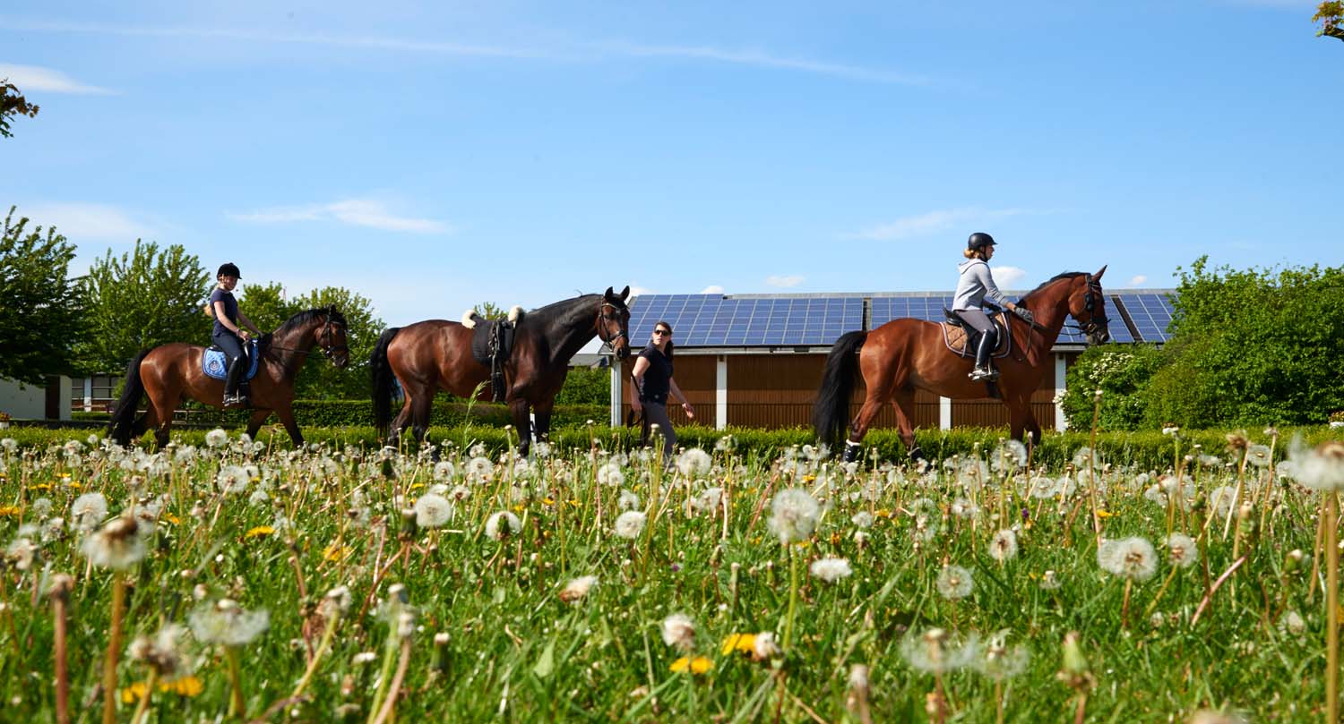 kronenhof hofstation