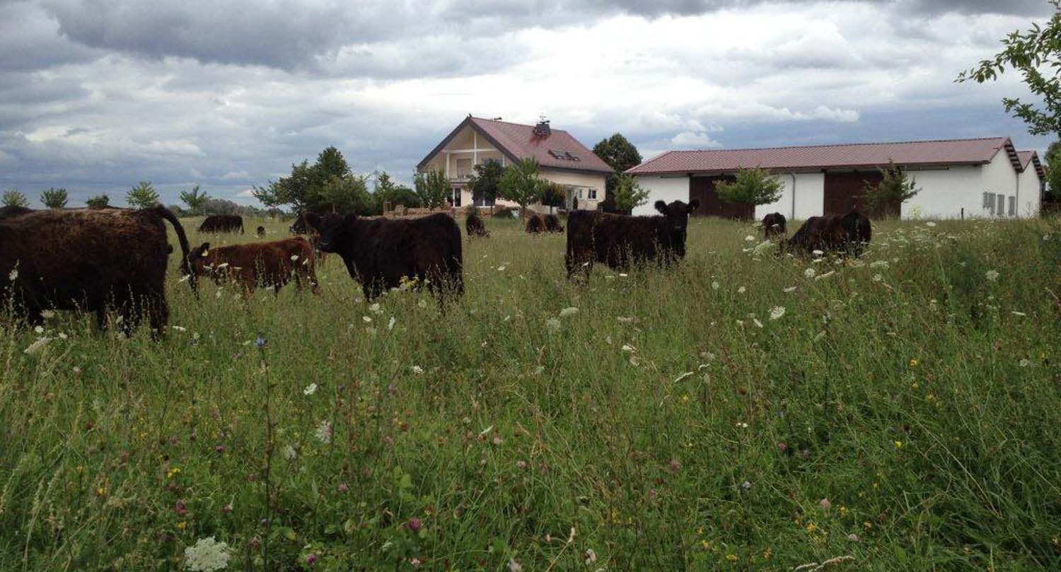 röderhof hofstation