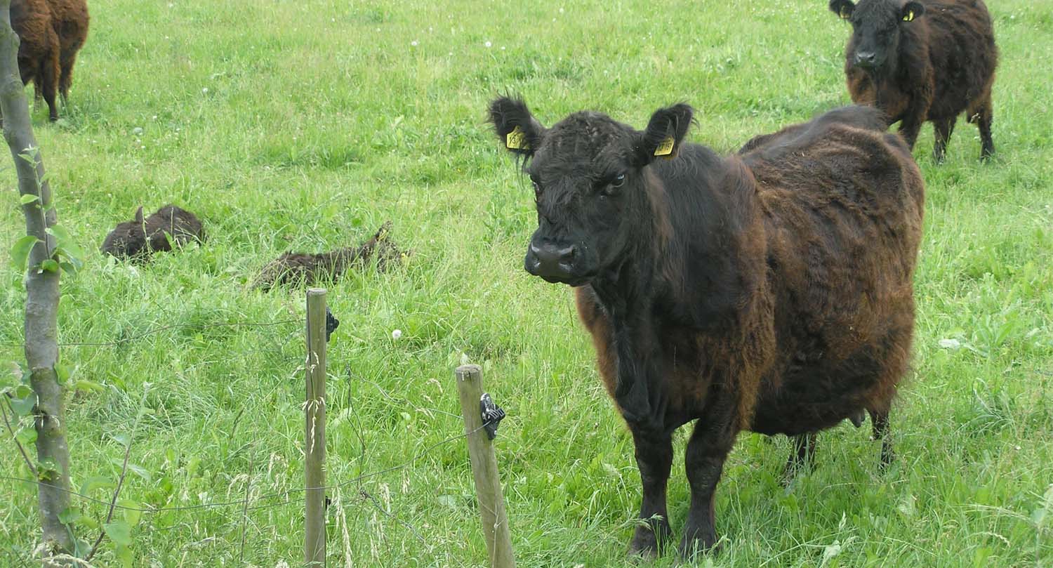 röderhof hofstation
