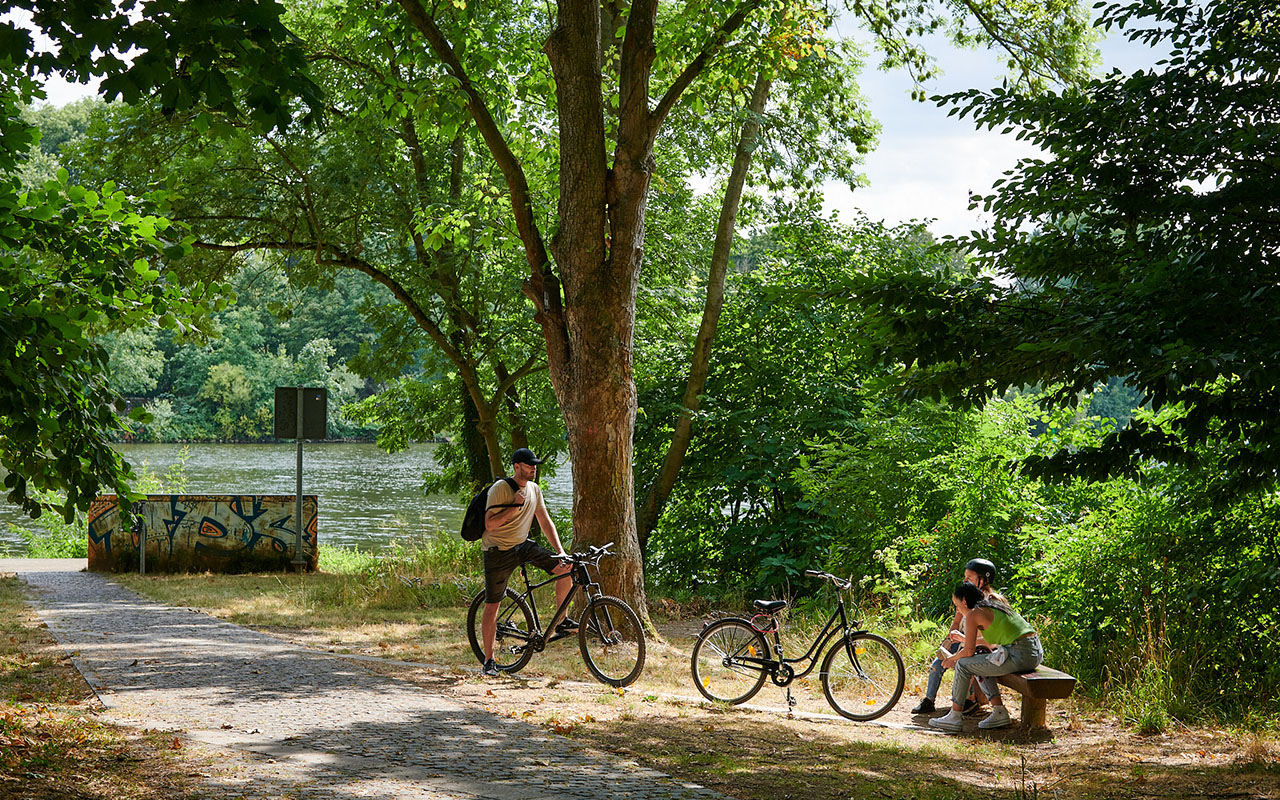 23-07-22-kinzigmündung_COP3521