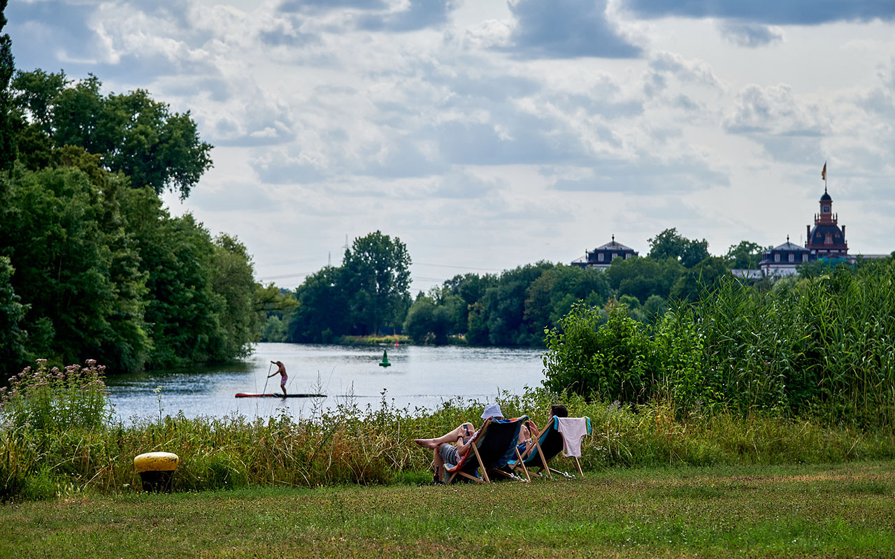 23-07-22-kinzigmündung_COP3538