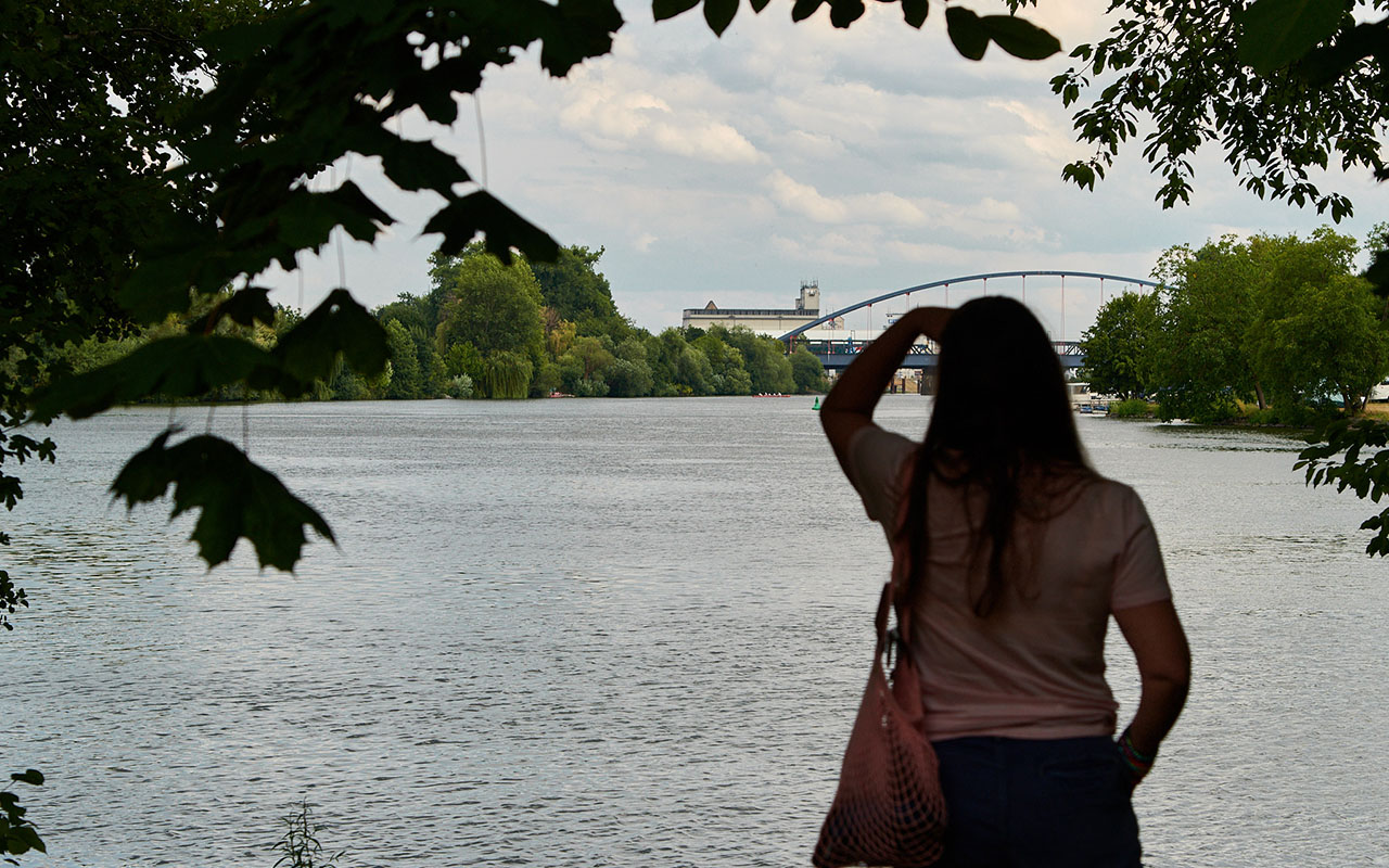 23-07-22-kinzigmündung_COP3568