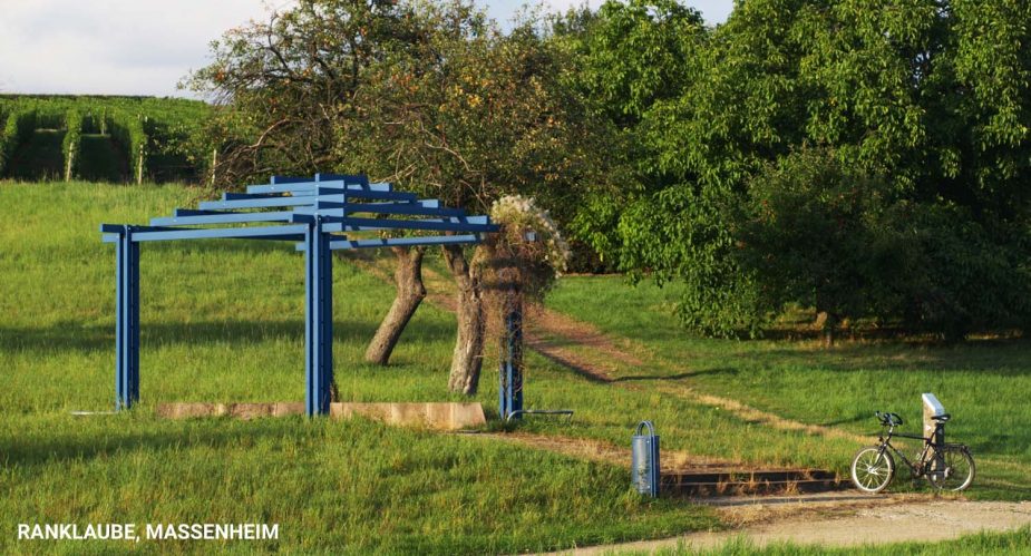 ranklaube-massenheim