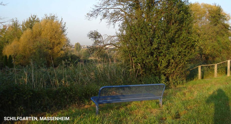 schilfgarten-massenheim