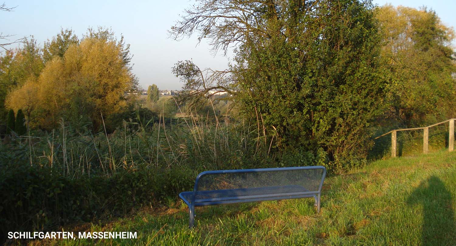 schilfgarten-massenheim
