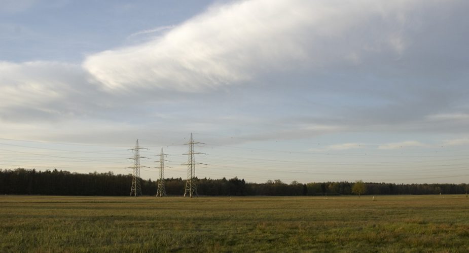 wanderbienen-mönchbruch (1) wanderbienen mönchbruch