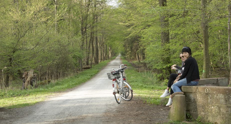 wanderbienen-mönchbruch (4) wanderbienen mönchbruch