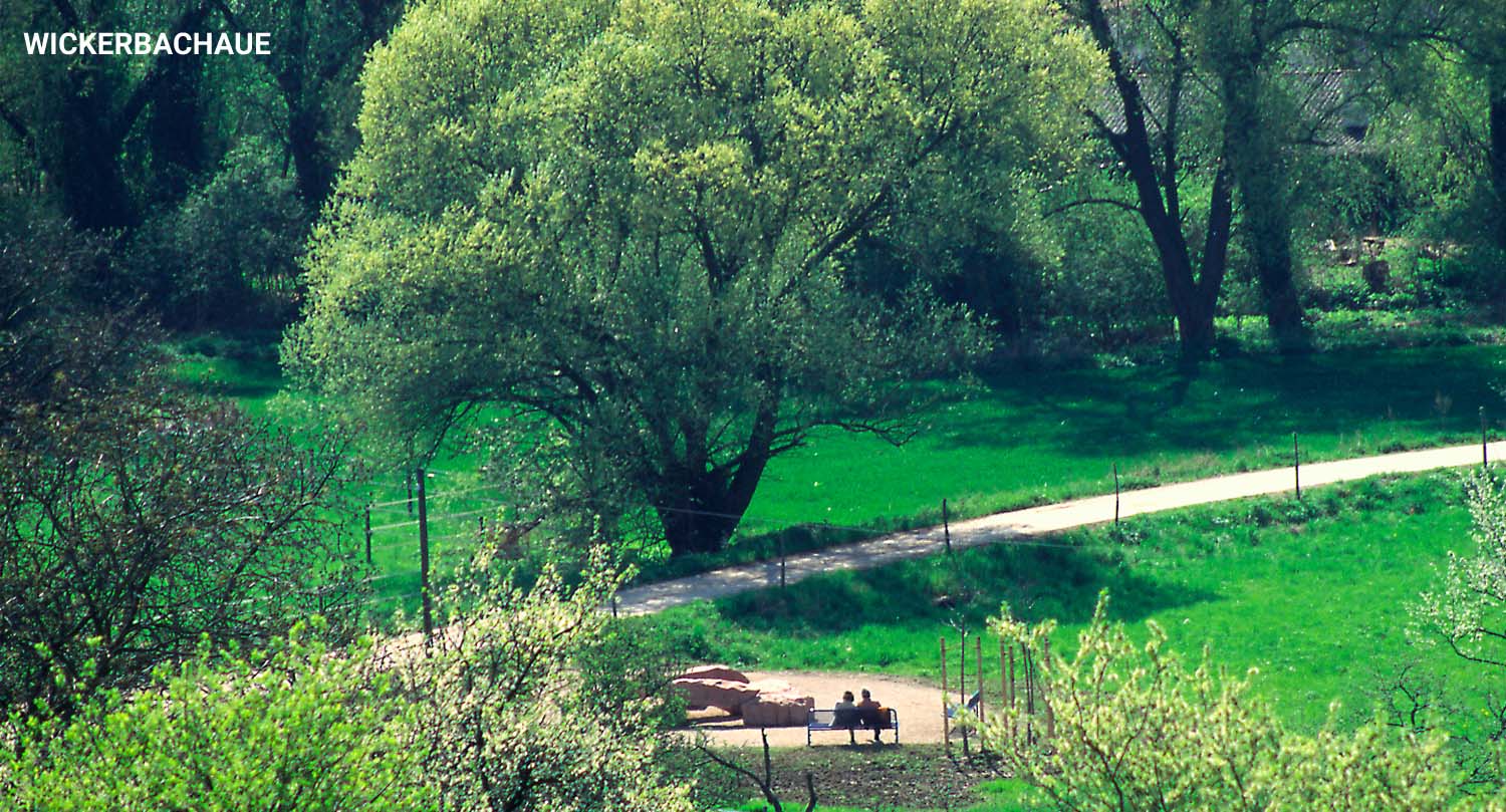 wickerbachaue5 wickerbachaue