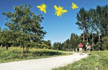 Arboretum Main-Taunus