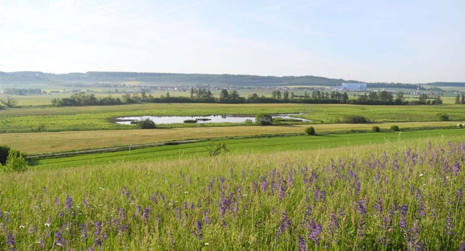 nachtweide-dauernheim nachtweide-dauernheim