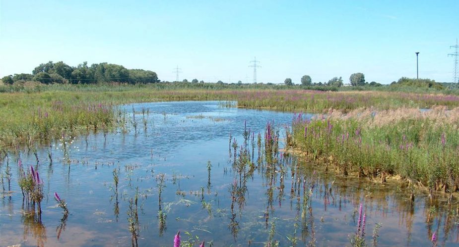 niederwiesen-ilbenstadt