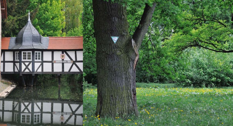 staden-wetterau-venedig