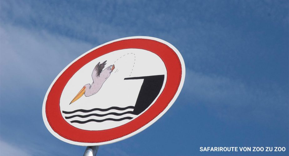 safariroute-zoo-zu-zoo1