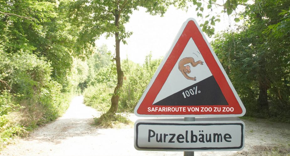 safariroute-zoo-zu-zoo3