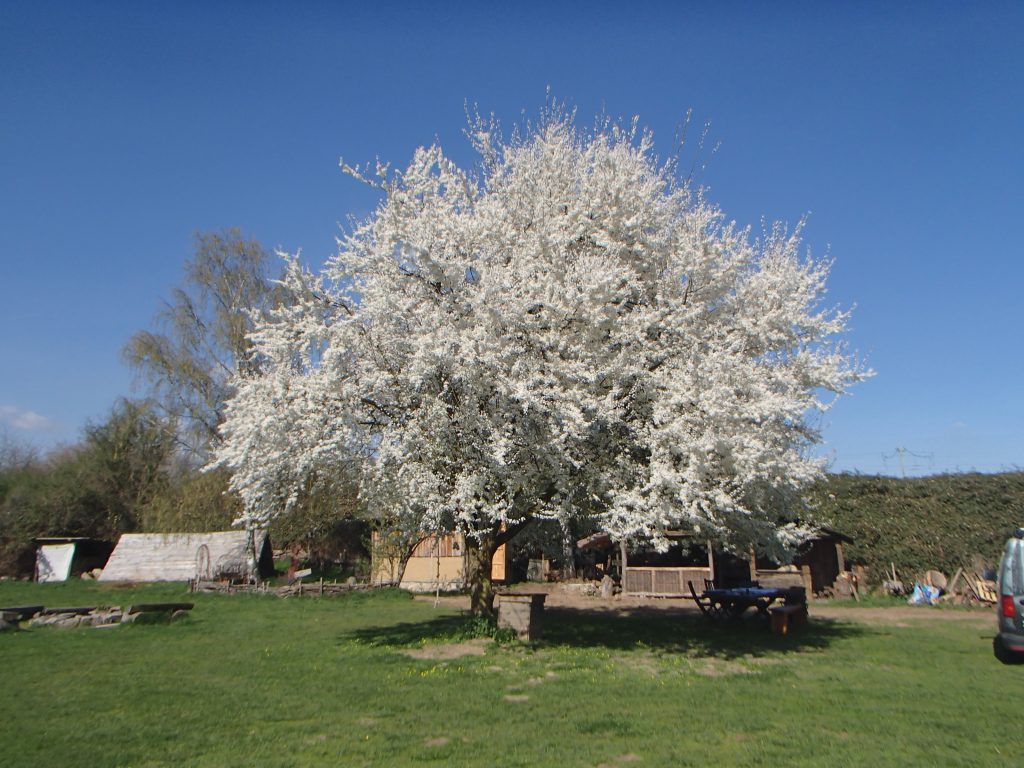 Ich sehe was, was du nicht siehst - 31.05.2025