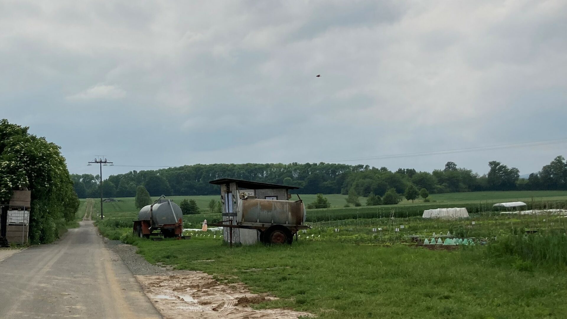 20210607_Lindenhof_IMG_0195 20210607_Lindenhof_IMG_0195