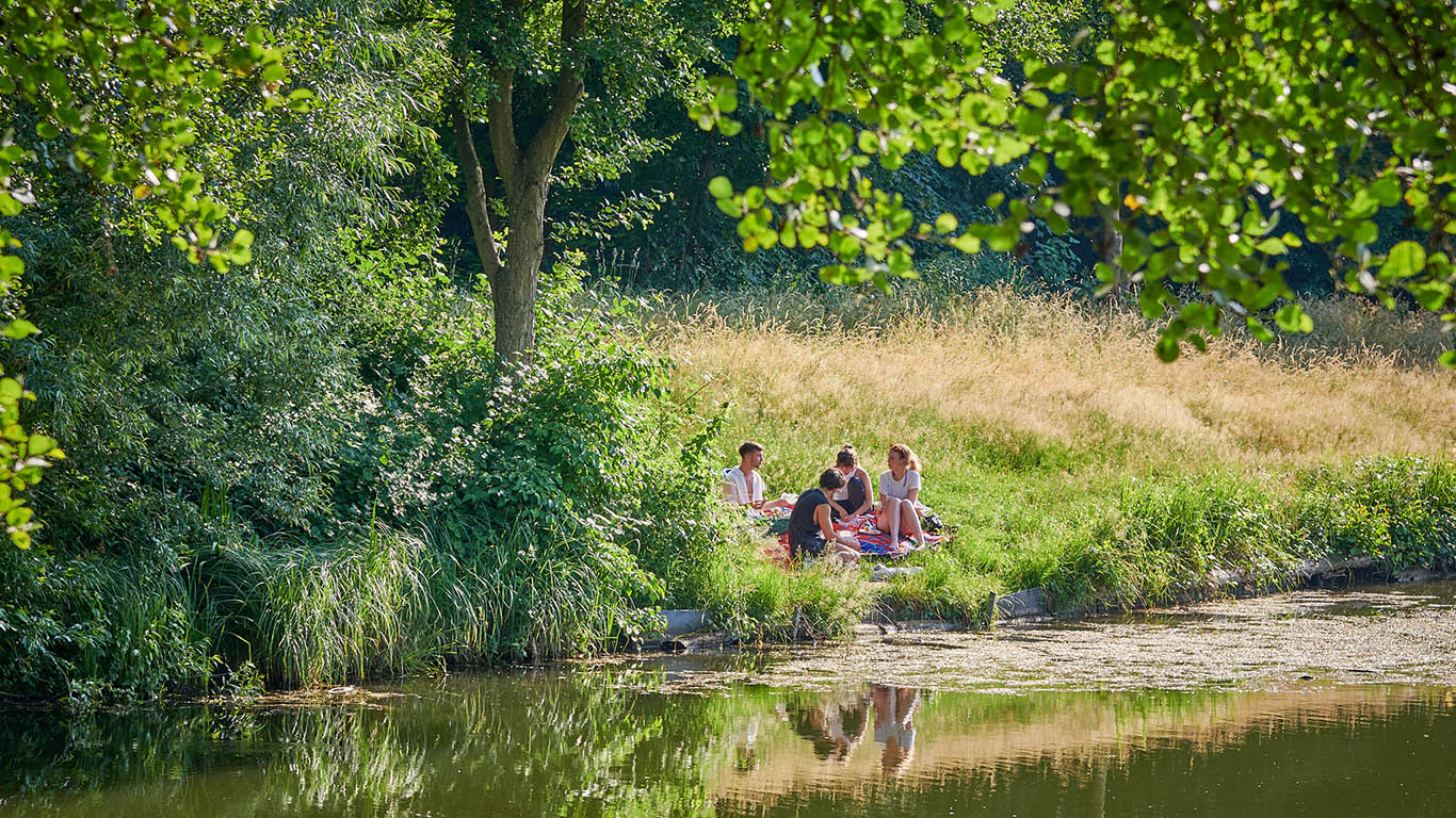 23-06-15-bruchsee_COP2679