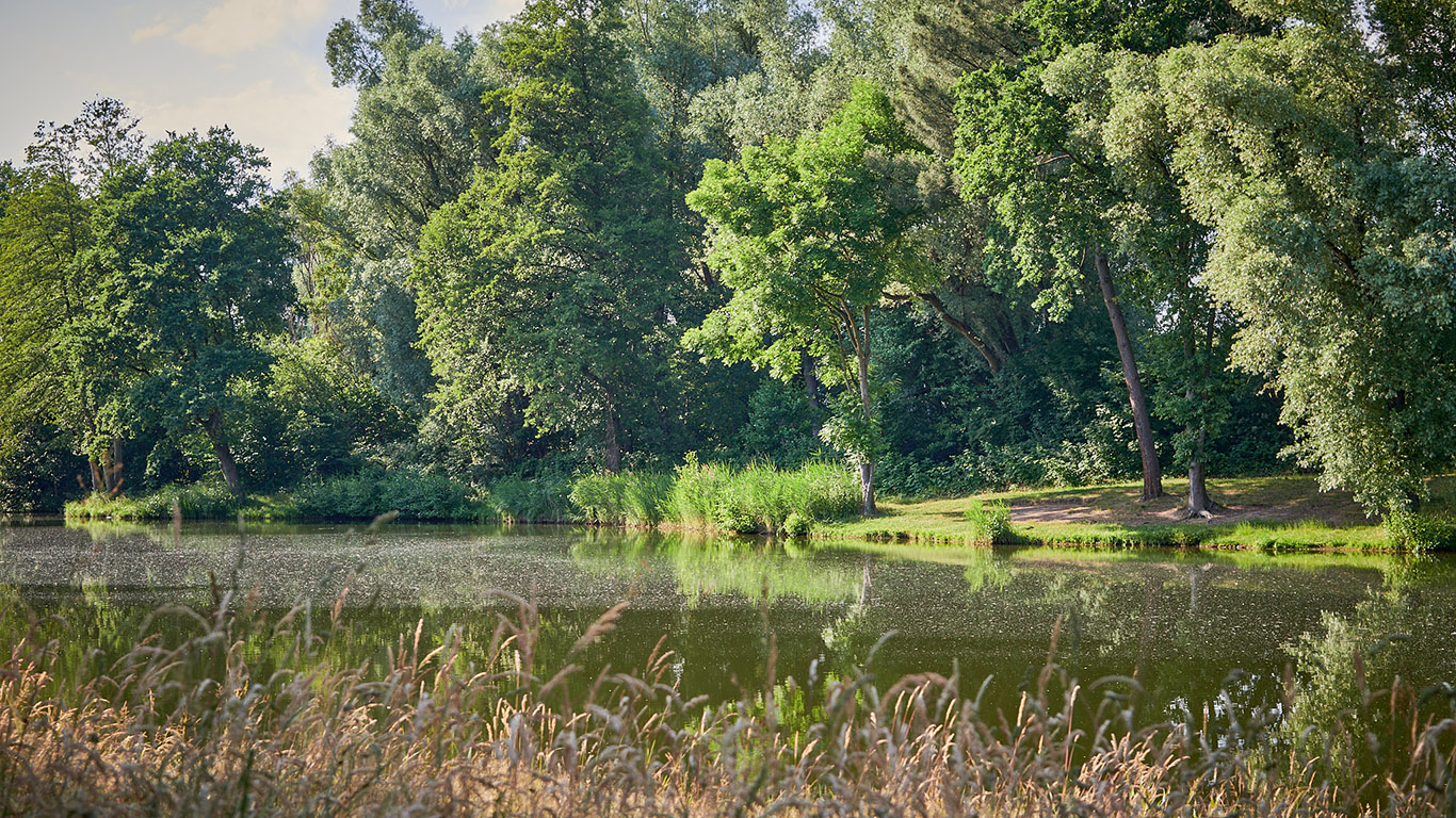 23-06-15-bruchsee_COP2694
