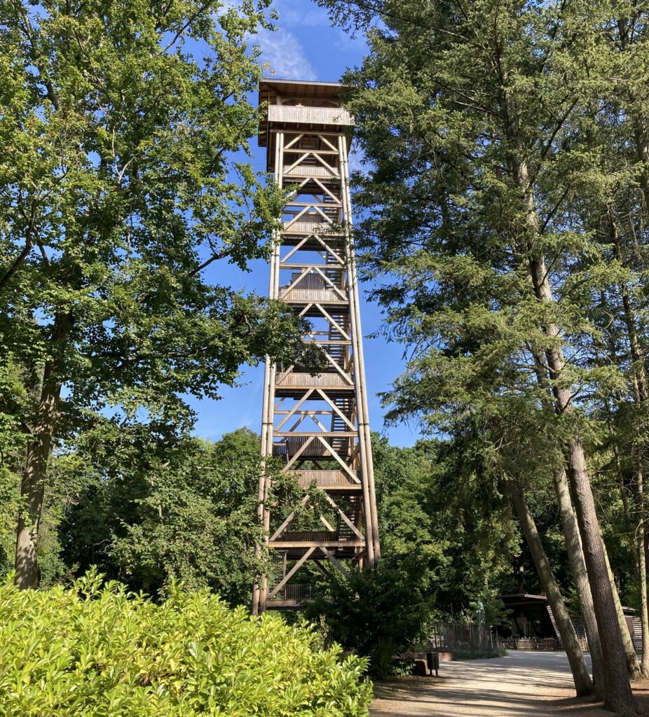 Goetheturm und Irrgarten, Frankfurt