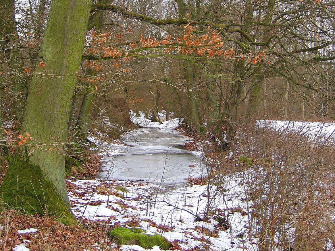 Ringlandwehr_Zuschnitt