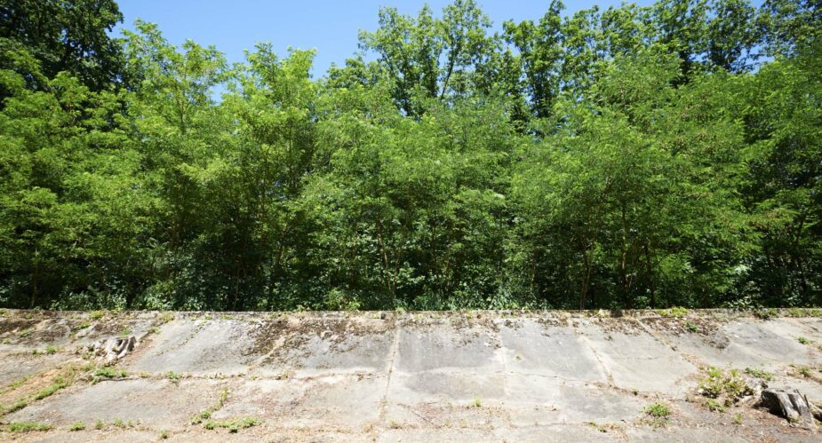 Stefan Cop - Alte Opelrennbahn - Rüsselsheim (2)