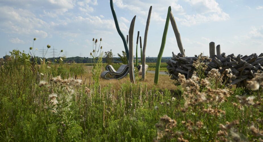 Stefan Cop - Rohrkolben - Niddaroute (4)