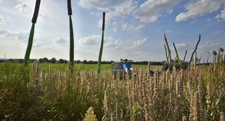 Stefan Cop - Rohrkolben - Niddaroute (6)