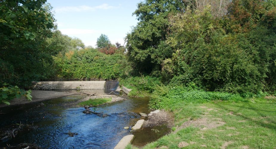 Wehr am Schwarzbach-Hattersheim (1) Wehr am Schwarzbach-Hattersheim (1)