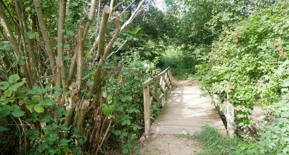 Wehr am Schwarzbach-Hattersheim (4) Wehr am Schwarzbach-Hattersheim (4)