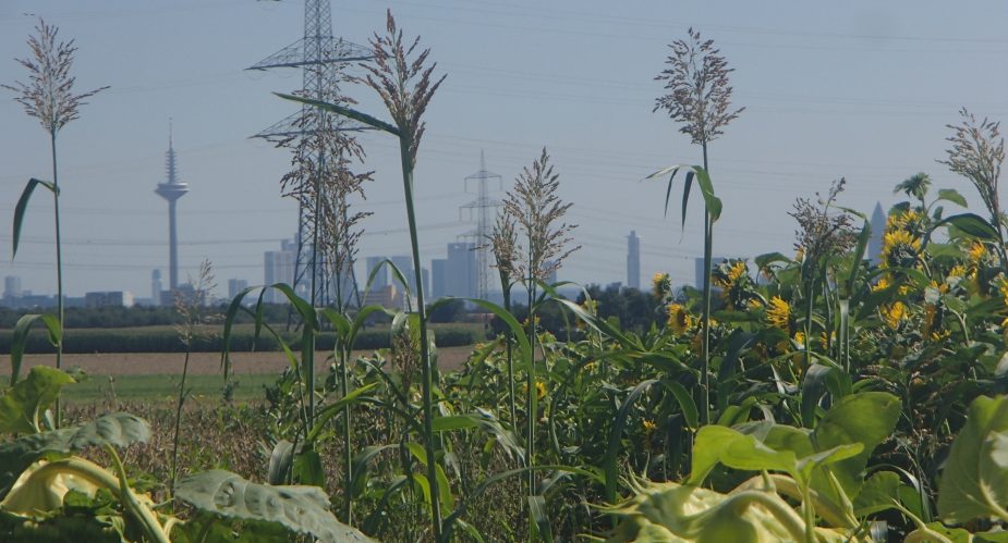 OLYMPUS DIGITAL CAMERA OLYMPUS DIGITAL CAMERA