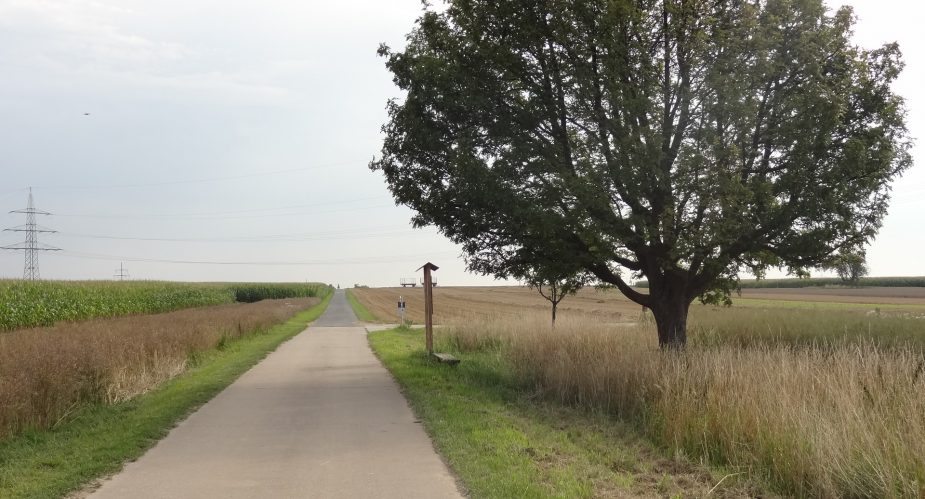 agrar-kultur-achse (2) agrar-kultur-achse (2)