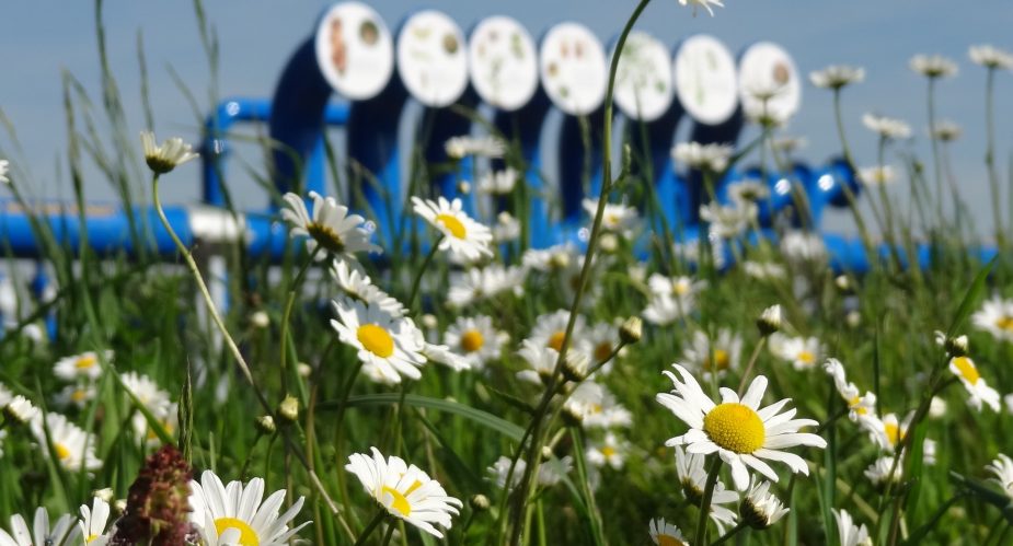 agrar-kultur-achse (3) agrar-kultur-achse (3)