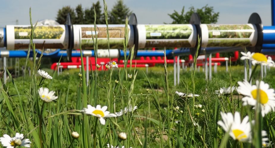 agrar-kultur-achse (4) agrar-kultur-achse (4)