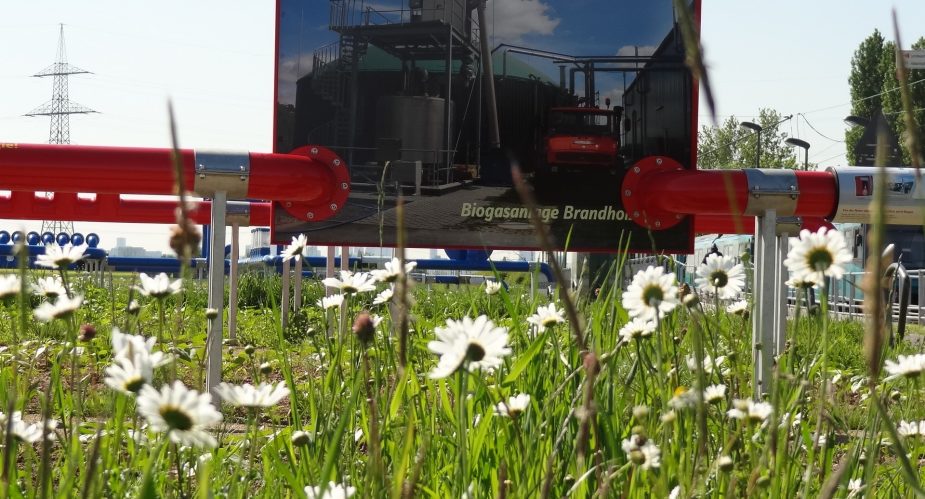 agrar-kultur-achse (5) agrar-kultur-achse (5)